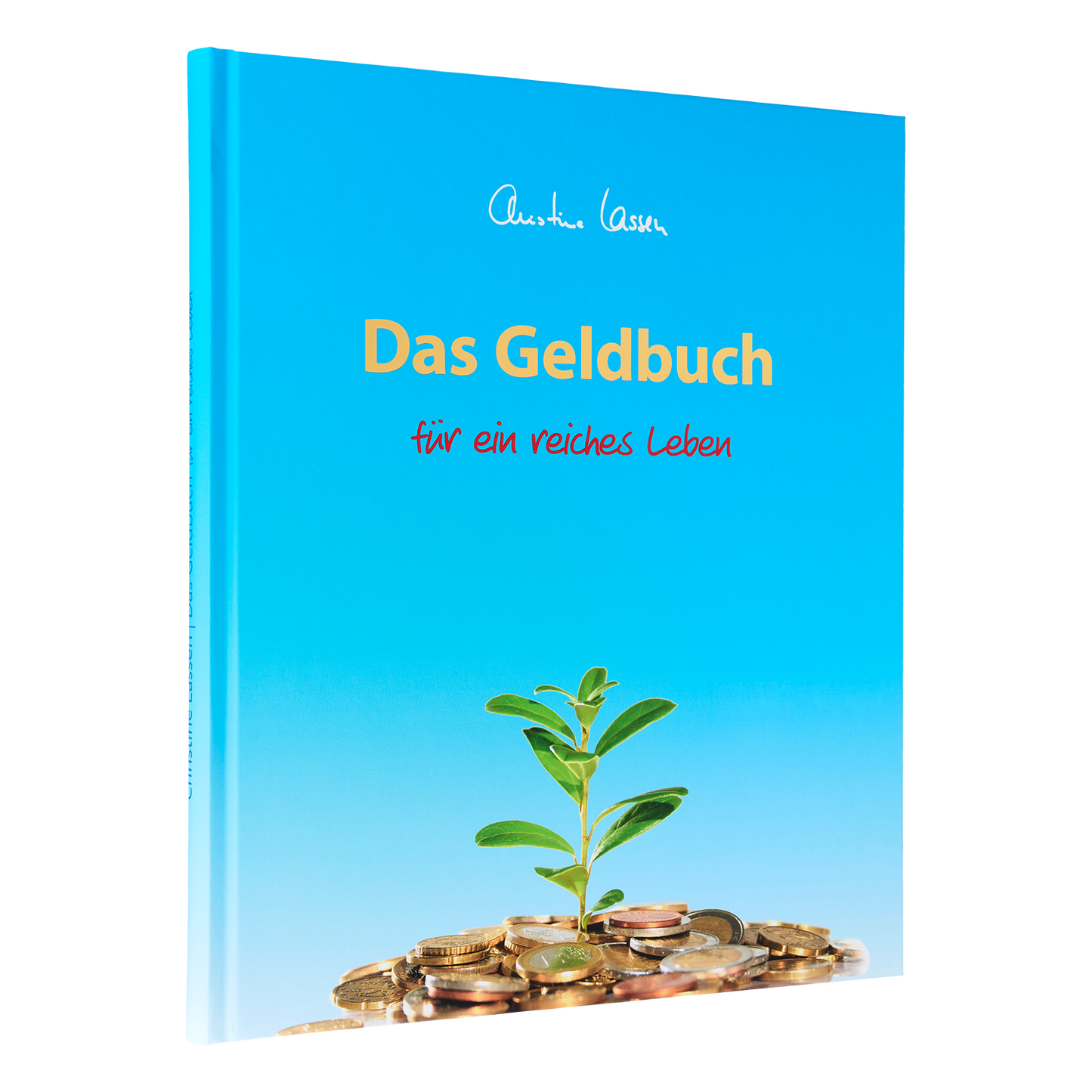 Das Geldbuch für ein reiches Leben