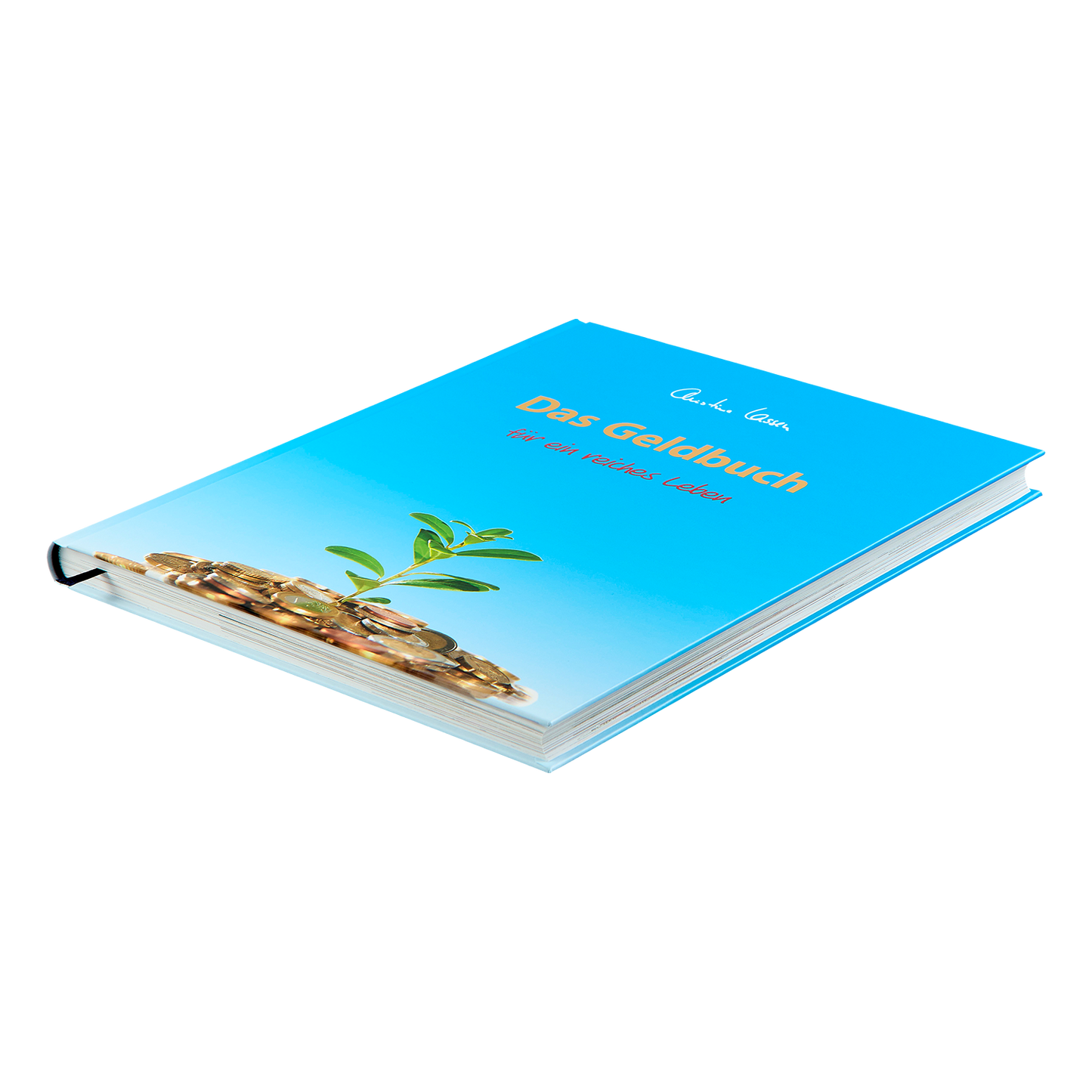 Das Geldbuch für ein reiches Leben