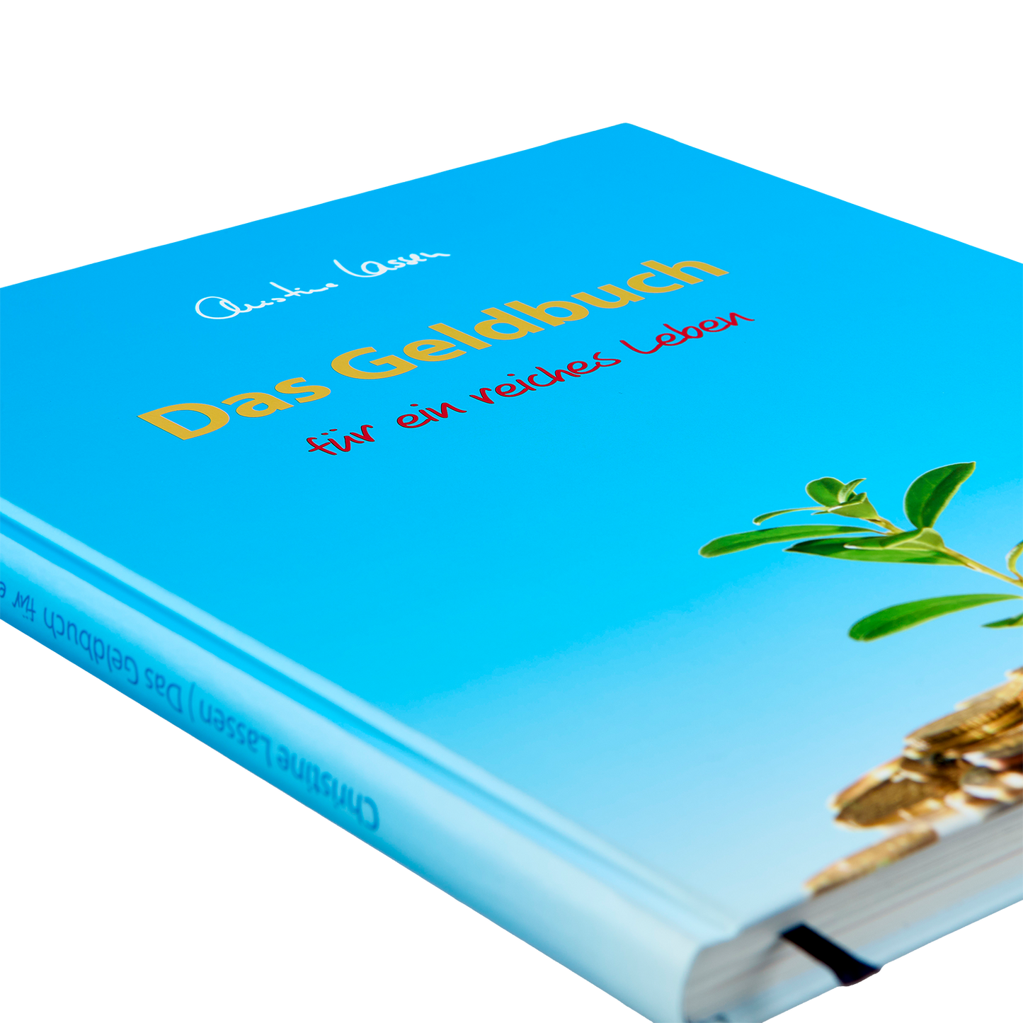 Das Geldbuch für ein reiches Leben