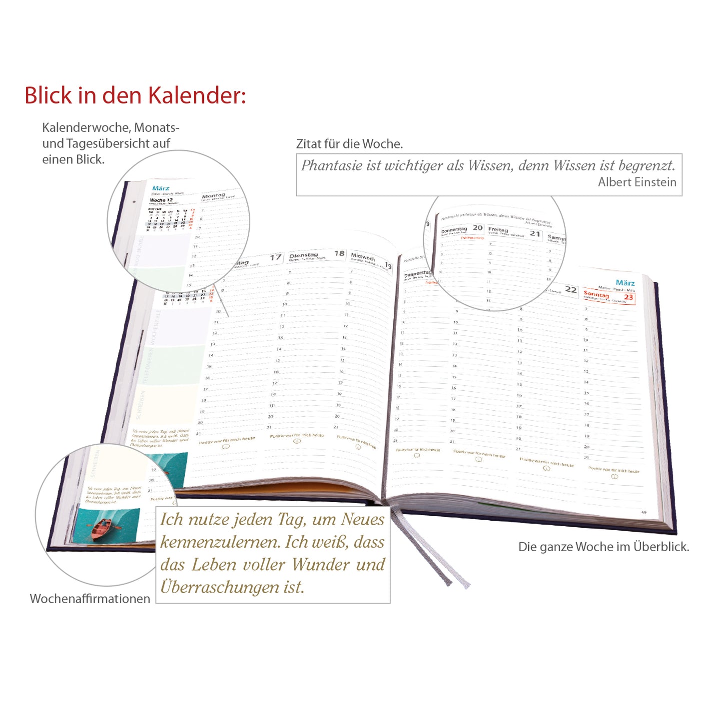 L.E.T.-ERFOLG 2025 Sonderedition königsblau-shimmer
