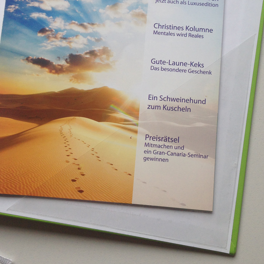 Stifthalter + 2 Einklebeecken