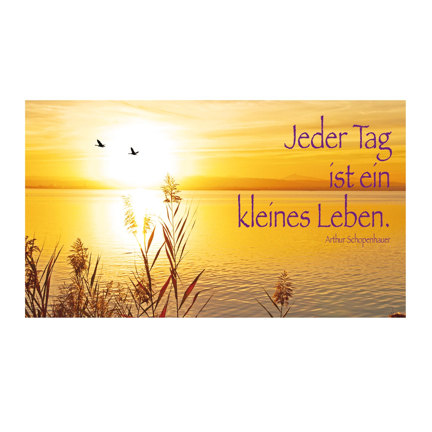 Postkartenkollektion - Classic 3er-Set